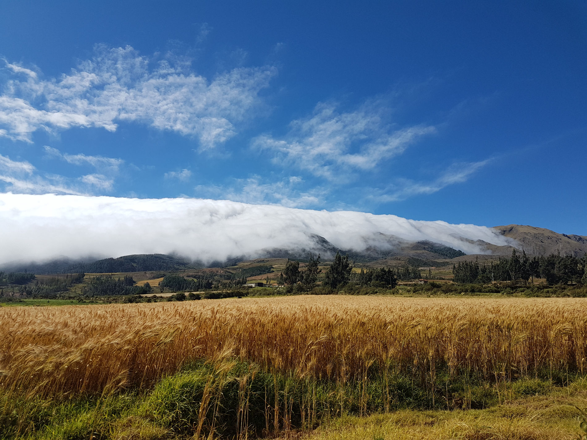 Bolivia Peru Overland