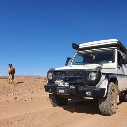 Zar The Professional